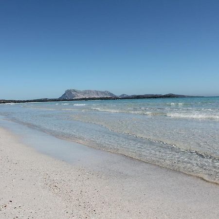 Vista Sul Mare E Tavolara Budoniaffitti ポルト・サン・パーオロ エクステリア 写真