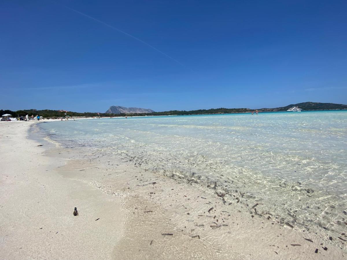 Vista Sul Mare E Tavolara Budoniaffitti ポルト・サン・パーオロ エクステリア 写真